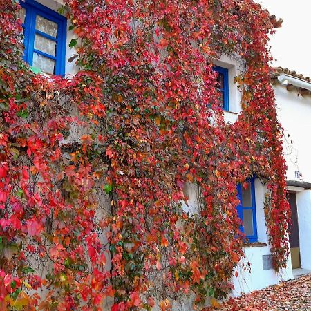 Casita Collado 1 Villa Alájar Exteriör bild